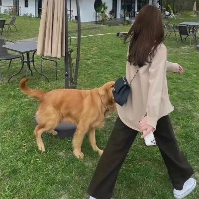 纳尼亚传奇：贾思潘王子